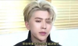 蔡徐坤事件爆料狗仔视频,揭秘背后真相与争议