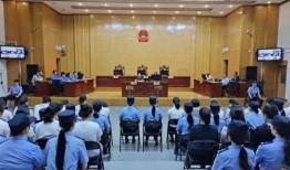 芜湖一中爆料案件最新,揭秘校园安全事件背后的真相